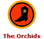 The Orchids