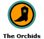 The Orchids